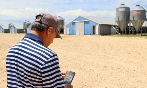 OzarksGo brings connectivity to poultry farms